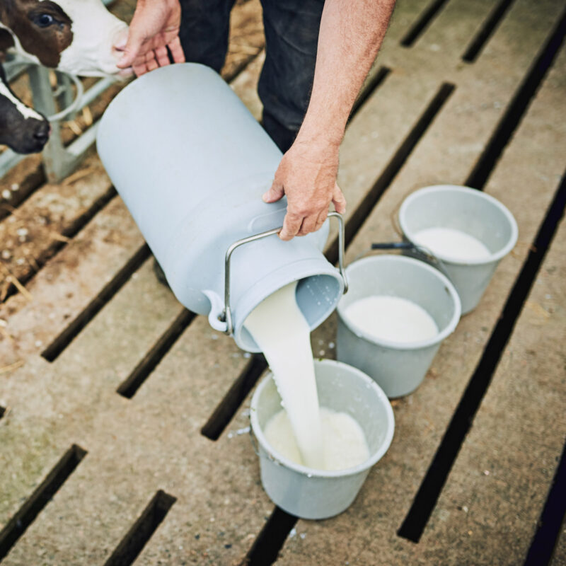 Onze melk, ons terroir